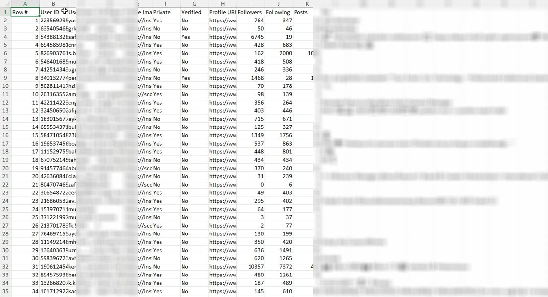 Lista de seguidores de Instagram exportada y abierta en una hoja de cálculo